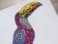Kolorowanka Terapeutyczna - Birds - STOLGRAF