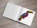 Kolorowanka Terapeutyczna - Birds - STOLGRAF