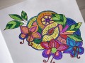 Kolorowanka Terapeutyczna dla Seniorów - STOLGRAF