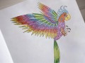 Kolorowanka Terapeutyczna - Birds - STOLGRAF