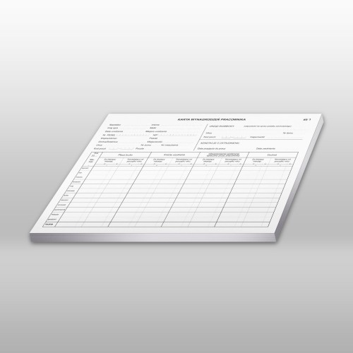 DRUK Karta wynagrodzeń pracownika A4 karton STOLGRAF