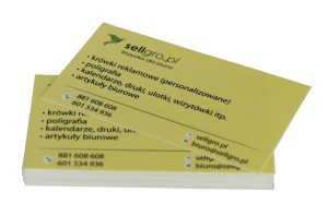 Wizytówka 90x50mm 300 g/m2, Nadruk 4+0, 50 szt. - STOLGRAF