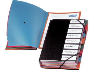 Teczka Segregująca Na Dokumenty BANTEX